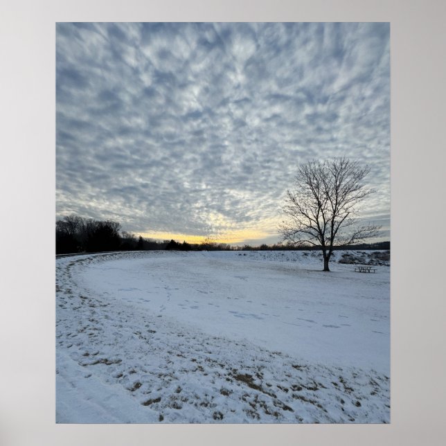 Wintertime Sunset Foto Poster (Vorne)