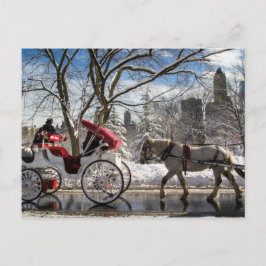 Wintertransporte im Zentralpark Postkarte