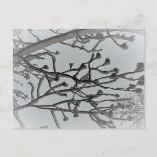 Wintertraum Postkarte