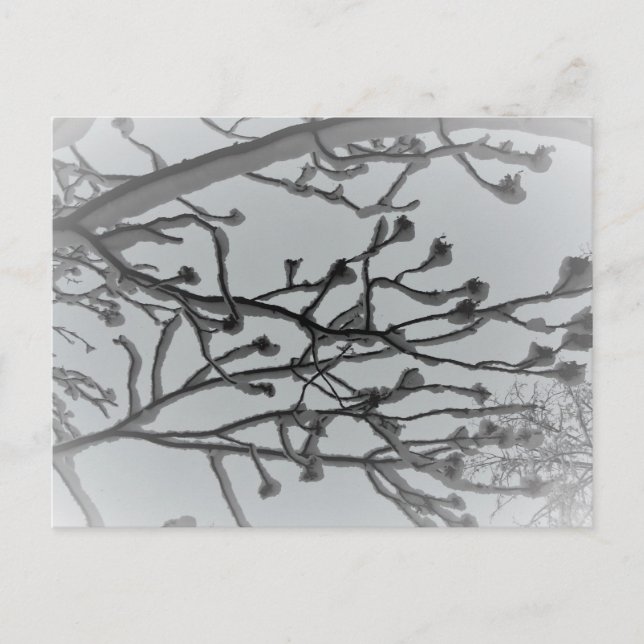 Wintertraum Postkarte (Vorderseite)