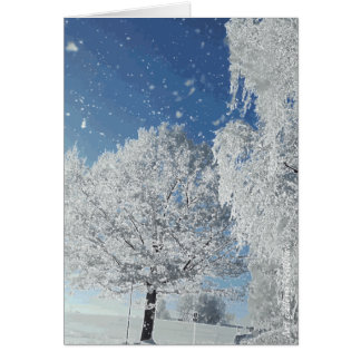 Wintertraum Winterland Schnee Baum