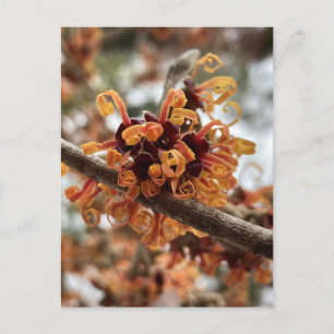 Winterurlaub Postkarte