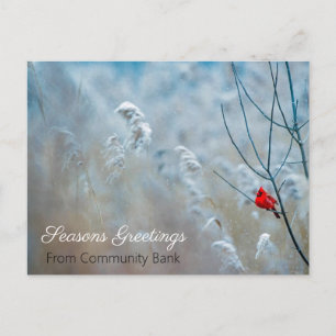 Winterurlaub Weihnachten Kardinal Postkarte