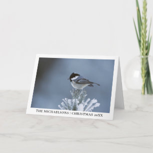 Wintervogel auf Mattierter Kiefernabzweigung Feiertagskarte