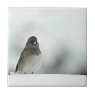 Wintervogel Fliese