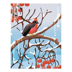Wintervogel Fotodruck