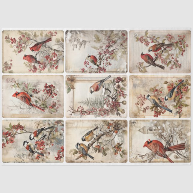 Wintervögel neun seidenpapier (Vorderseite)