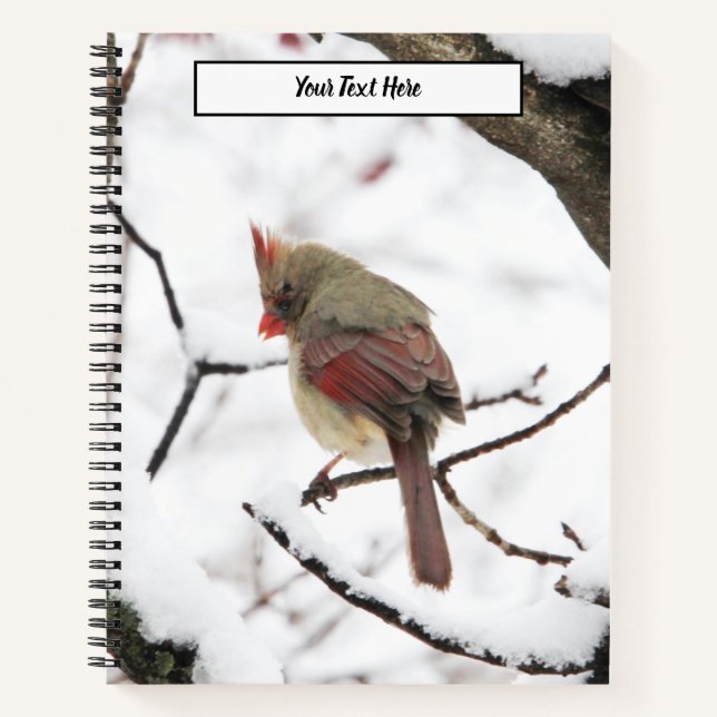 Wintervögel Notizbuch (Vorderseite)