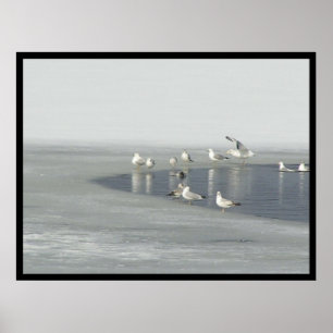 Wintervögel Poster