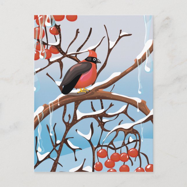 Wintervogel Postkarte (Vorderseite)