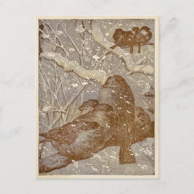 Wintervögel Postkarte (Vorderseite)