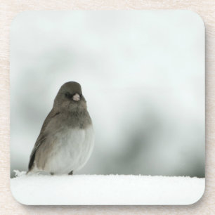 Wintervogel Untersetzer