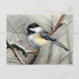 Wintervogelkichererbse Postkarte