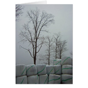 Wintervormittag 12x18