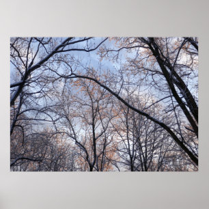 Wintervormittag II Naturlandschaft Poster