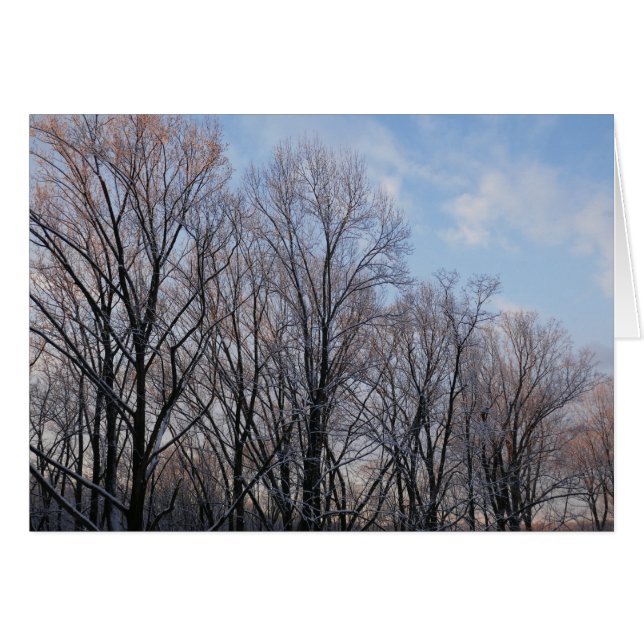 Wintervormittag III Naturlandschaft (Vorderseite (Horizontal))