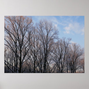 Wintervormittag III Naturlandschaft Poster