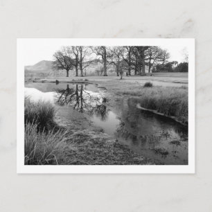 Wintervormittag: Strandshag Bay, Derwentwater Postkarte