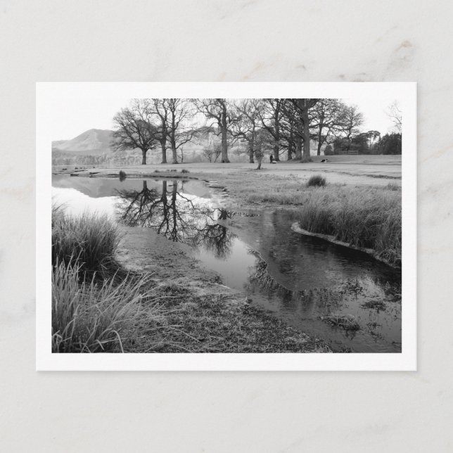 Wintervormittag: Strandshag Bay, Derwentwater Postkarte (Vorderseite)
