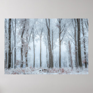 Winterwald #21 poster