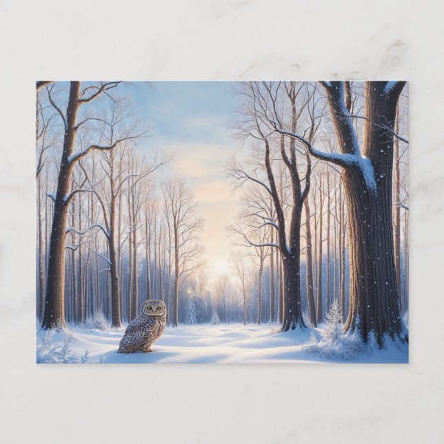 Winterwald, bedeckt mit Schnee und Eule  Postkarte (Vorderseite)
