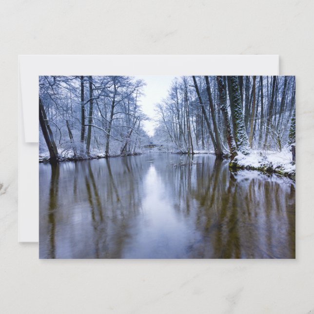 Winterwald mit schönem Stream (Vorderseite)
