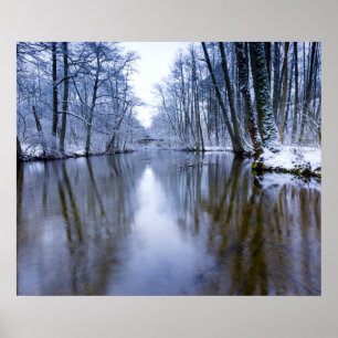 Winterwald mit schönem Stream Poster