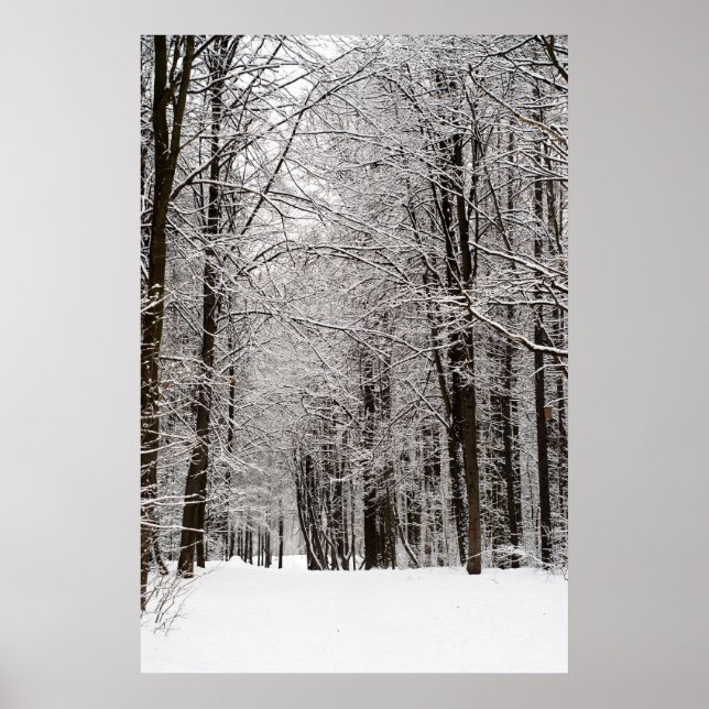 Winterwald Poster (Vorne)