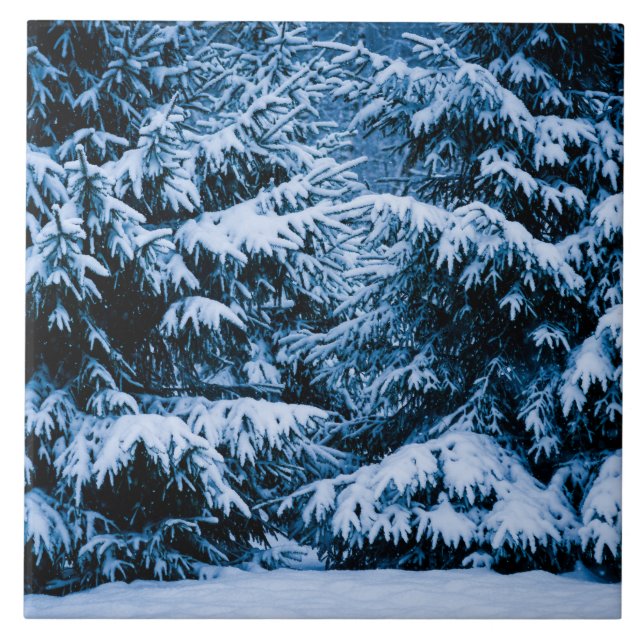 Winterwald Weihnachtsbaum Fliese (Vorderseite)