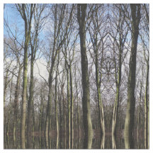 WinterwaldFotogewebe