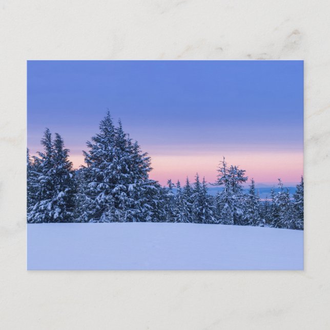 Winterwaldlandschaft bei Sonnenuntergang Postkarte (Vorderseite)
