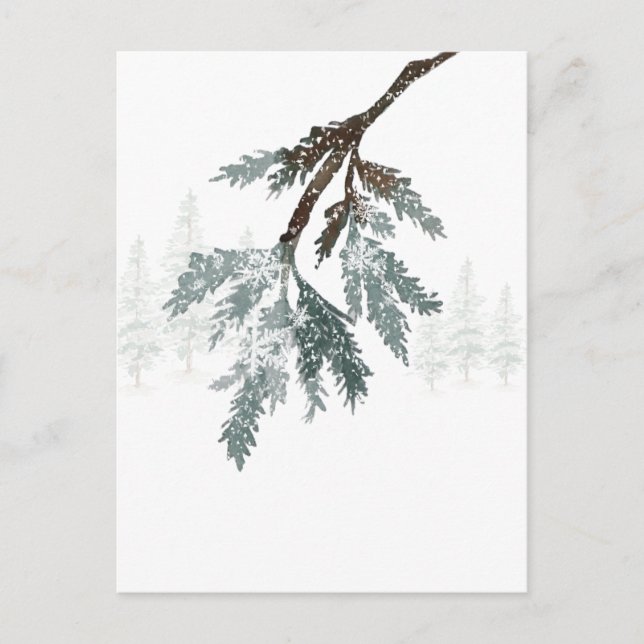 Winterwaldlandschaft in Snowy Blue Spruce Postkarte (Vorderseite)