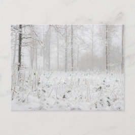 Winterwaldlandschaft mit schneebedeckten Winterbäu Feiertagspostkarte