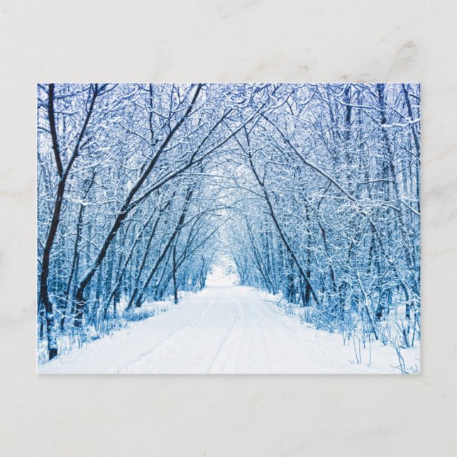 Winterwaldweg Postkarte (Vorderseite)