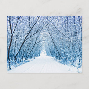 Winterwaldweg Postkarte