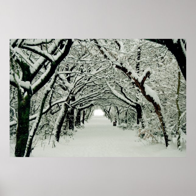 Winterwanderplakat Poster (Vorne)