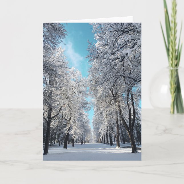 Winterwanderung im Park Feiertagskarte (Vorderseite)