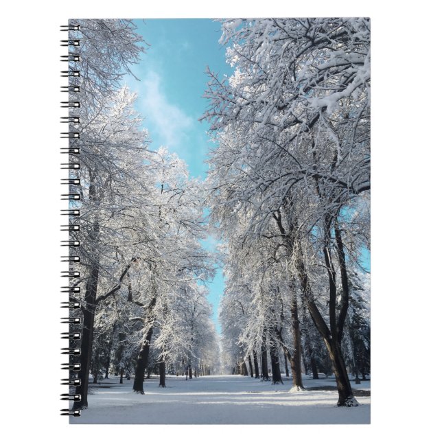 Winterwanderung im Park Notizblock (Vorderseite)
