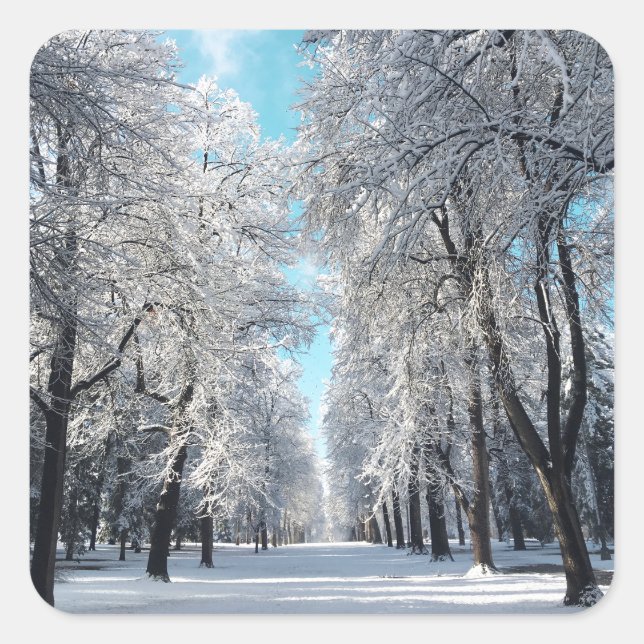 Winterwanderung im Park Quadratischer Aufkleber (Vorderseite)