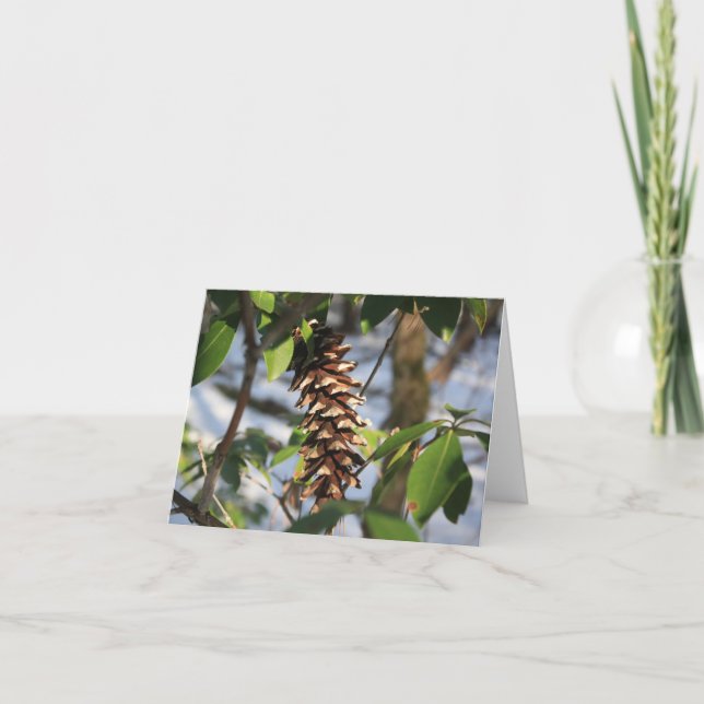 Winterwanderweg Pine Cone Note Card Dankeskarte (Vorderseite)