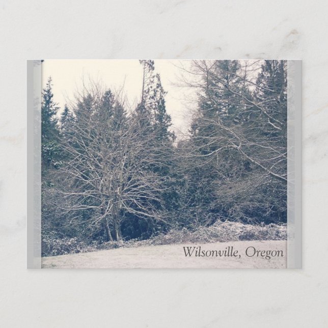 Winterweiß Postkarte (Vorderseite)