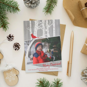 Winterweiße Birkenbäume Foto rustikales Scheunenho Feiertagskarte