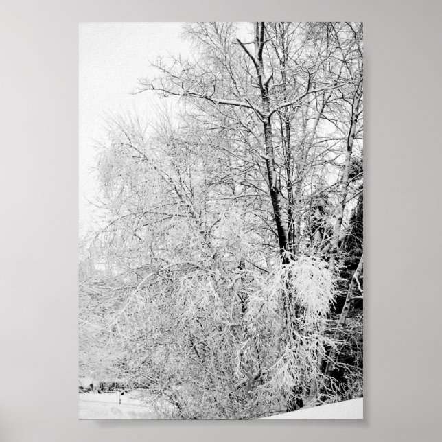 Winterweiße drucken poster (Vorne)