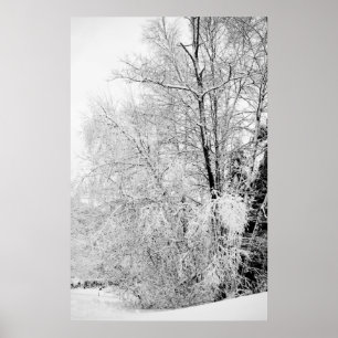 Winterweiße drucken poster