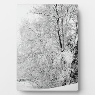 Winterweiße Fotoplatte
