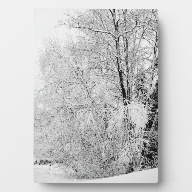 Winterweiße Fotoplatte (Vorderseite)