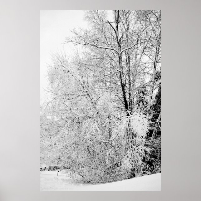 Winterweiße Poster (Vorne)