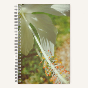 Winterweißes Hibiskus-Notizbuch Notizbuch