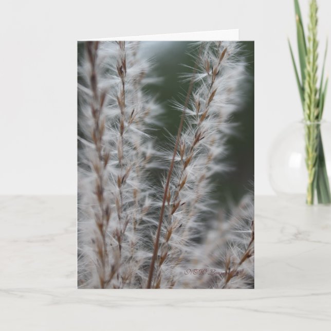 Winterweizen Karte (Vorderseite)