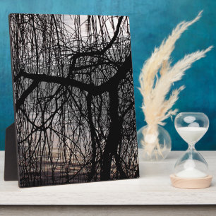 WINTERWILLOW-BAUM FOTOPLATTE